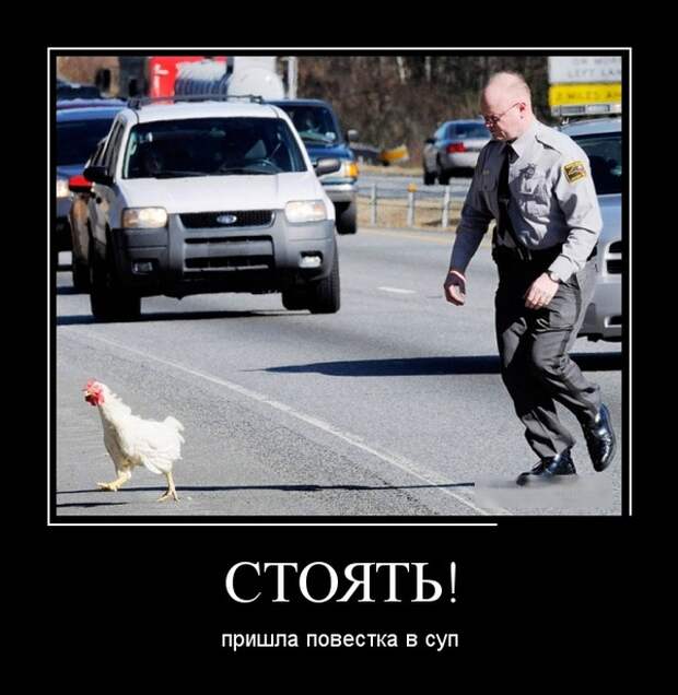 www.vsyako.net