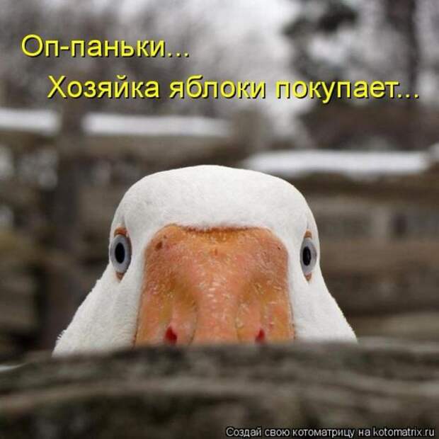 смешинка