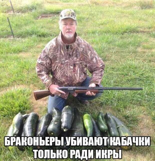 Прикольные картинки понедельника (41 шт)