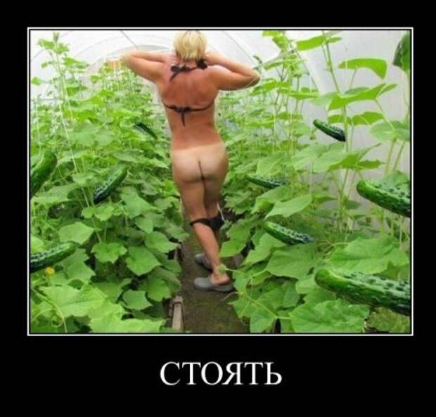 Демотиваторы,  разные но все прикольные.