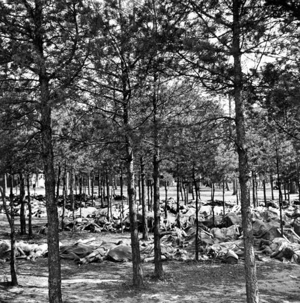 Врата ада: Освобождение лагеря Берген-Бельзен, апрель 1945 год