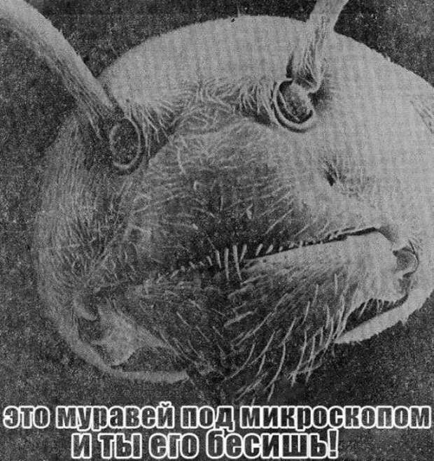 Прикольные картинки в пятницу (48 шт)