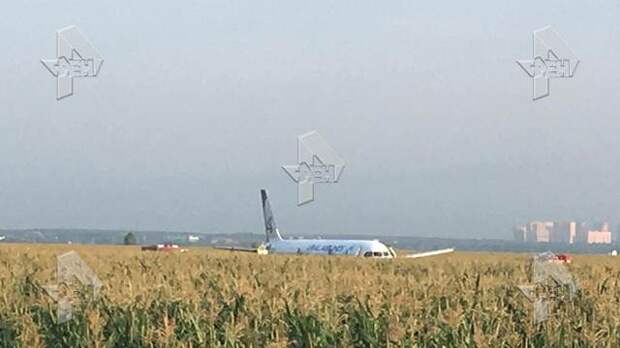 Пассажиры аварийно севшего А321 прилетели в Симферополь