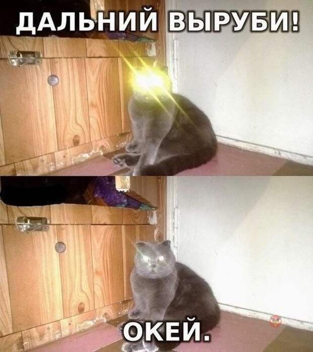 Смешные картинки с подписями  юмор, картинки, прикол
