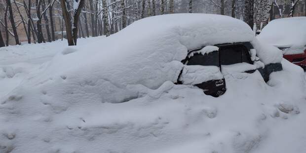 Эксперт по праву рассказала, в каких случаях погода позволяет остаться дома без последствий