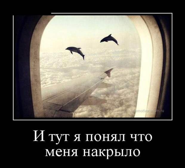 Сборник демотивационных приколов Сборник демотивационных приколов