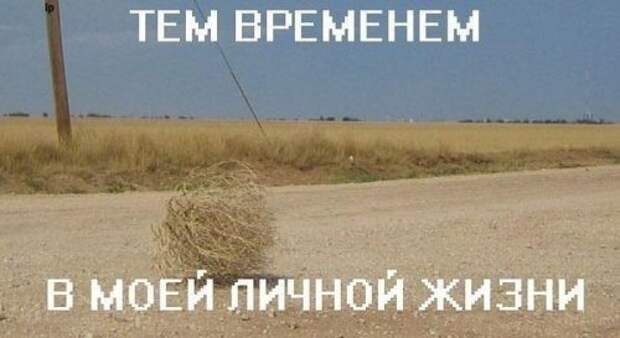 Коллекция фотомемов (17 шт)