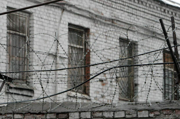 Мигрантов предложили сажать в тюрьму за поддельные медсправки