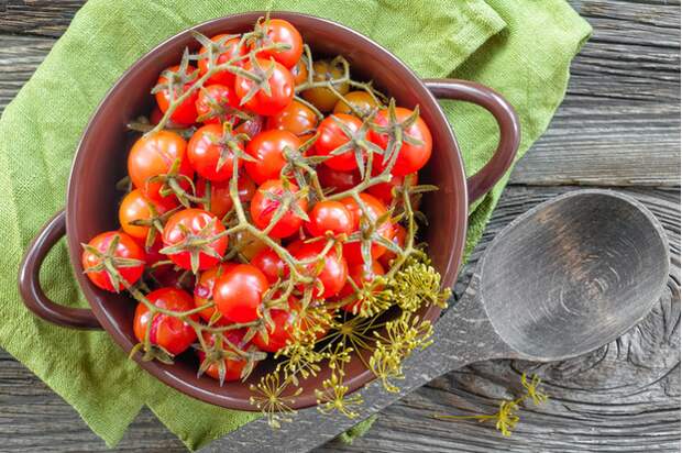 Как быстро и вкусно законсервировать помидоры 