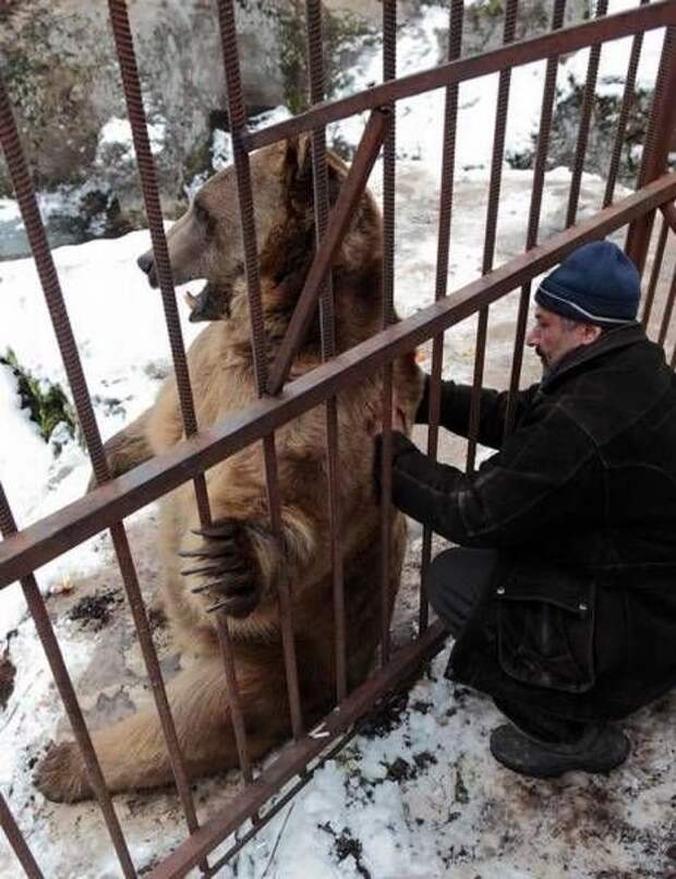 Прикольные картинки (15.12.16)