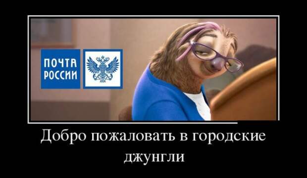 Демотиваторы (30 фото)