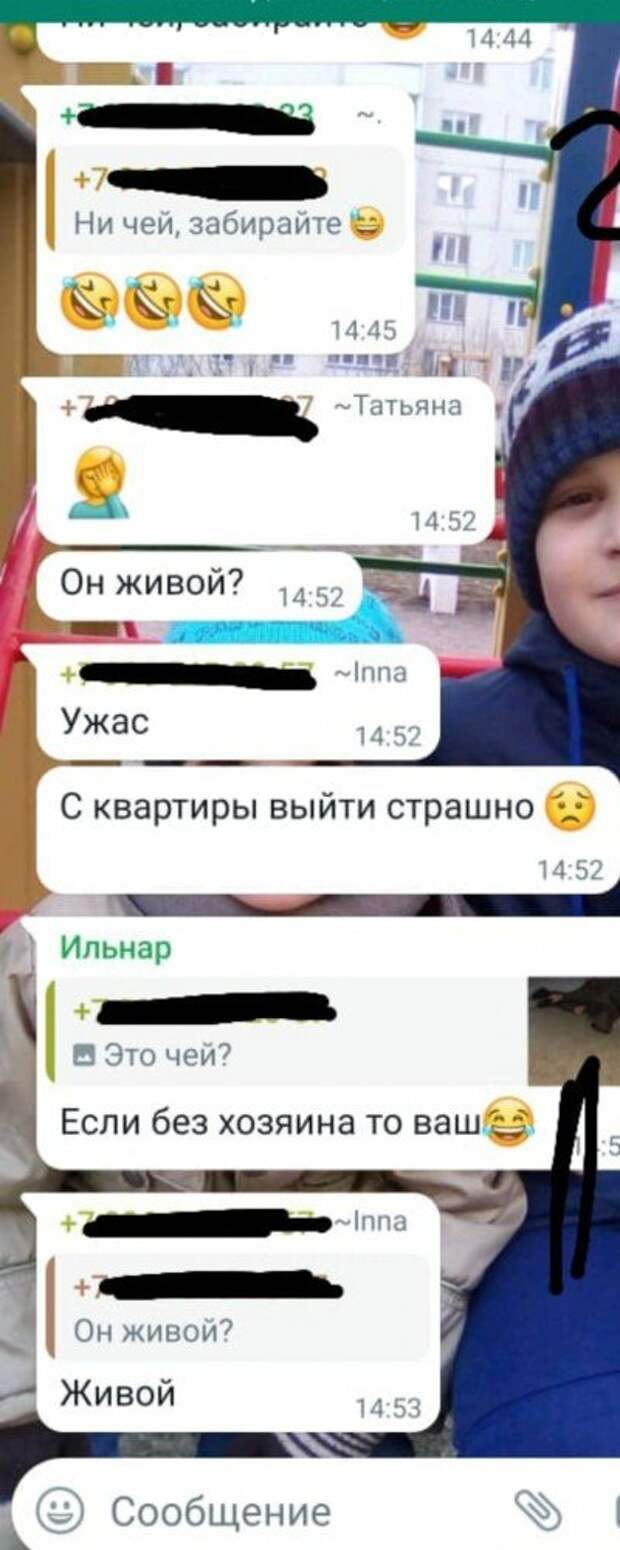 Мини история из домового чата