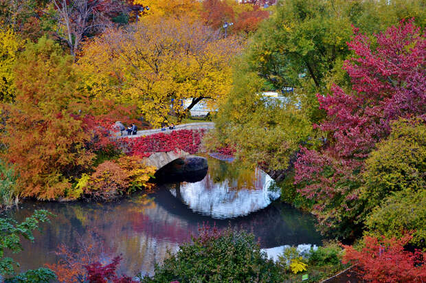 В осеннем парке. (gigi_nyc)