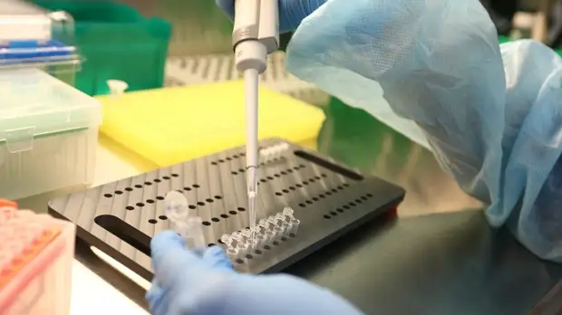 В Красноярском крае выявили 471 случай коронавируса за сутки