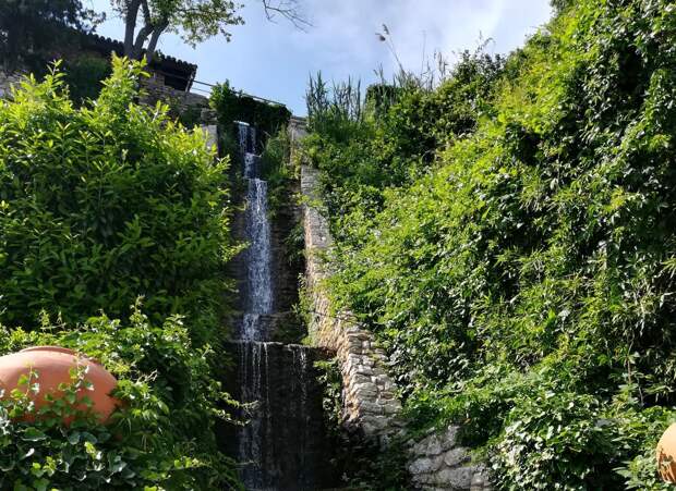 Фото: Е. Попова-Гамаюн