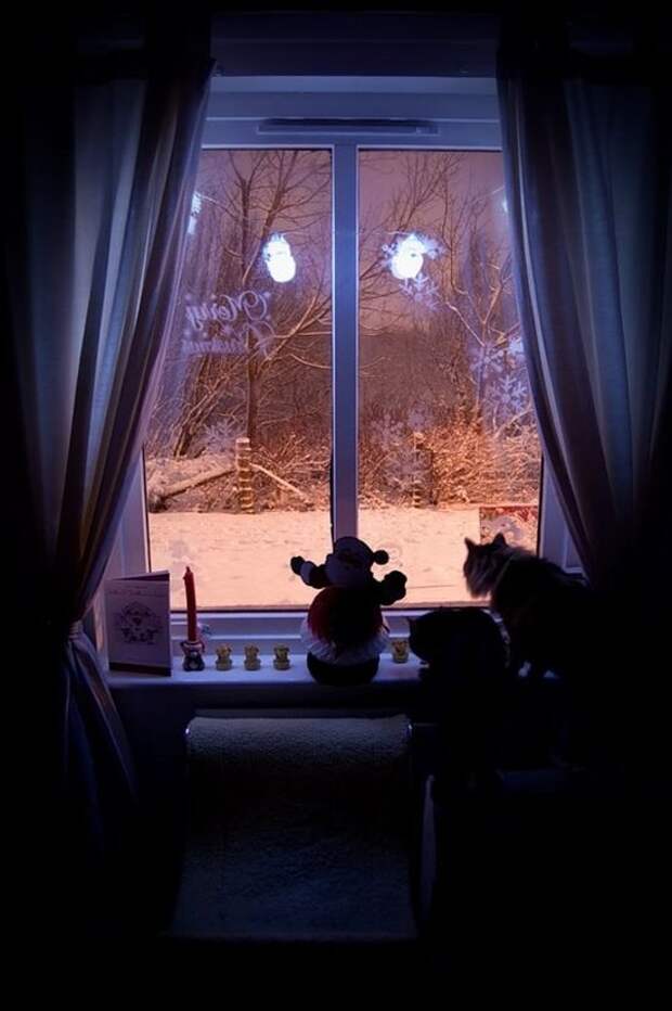 Зимнее окно вечером. Зимний вечер за окном. Зимнее вечернее окно. Окно вечер. Зимний вечер у окна.