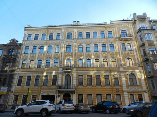 Питерские совы