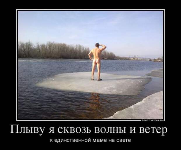 Немного новых демотиваторов