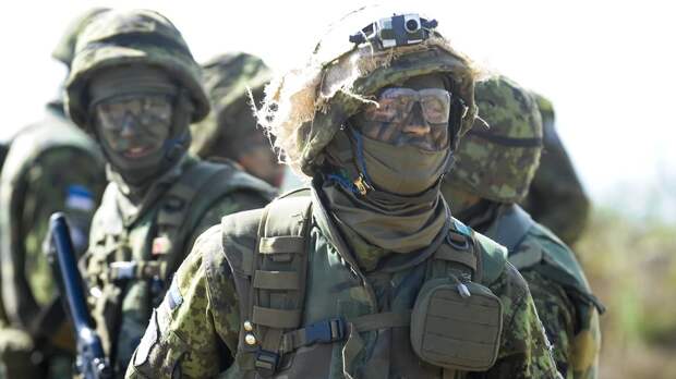 Эстония примет участие в учениях НАТО в Гренландии