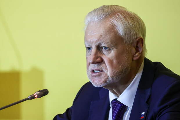 Миронов предложил дать бесплатный проезд учителям и медикам к месту отдыха