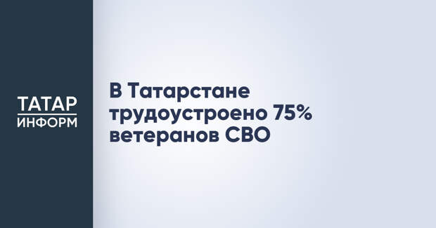 В Татарстане трудоустроено 75% ветеранов СВО