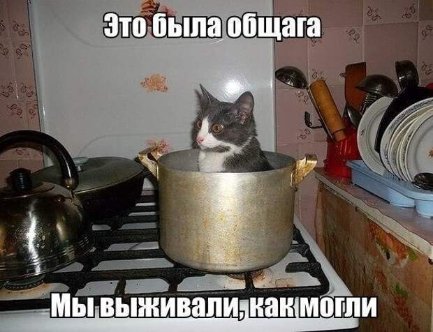 Всяко - разно 9  )))