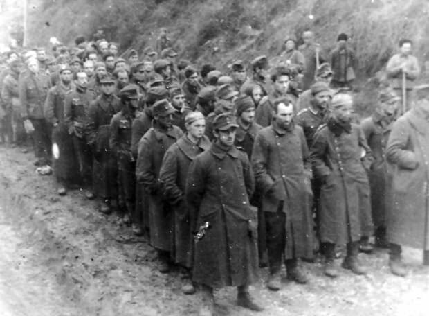 78 лет победы над нацистской дивизией СС «Галичина» под Бродами