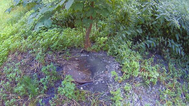 Санаторий в Пржевальском