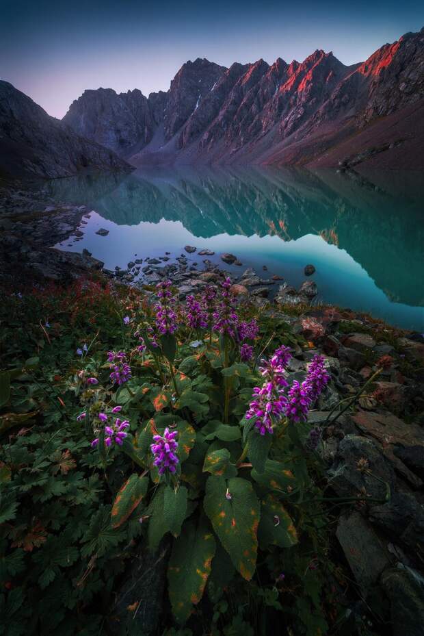 Красота природы на фотографиях