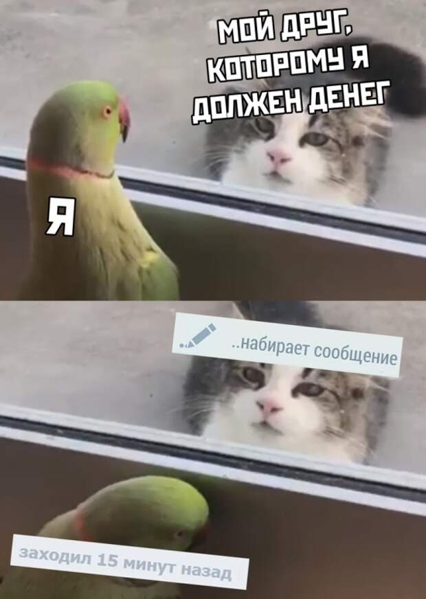 Подборка картинок (20 фото)