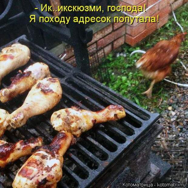 Котоматрицы(картинки с надписями)