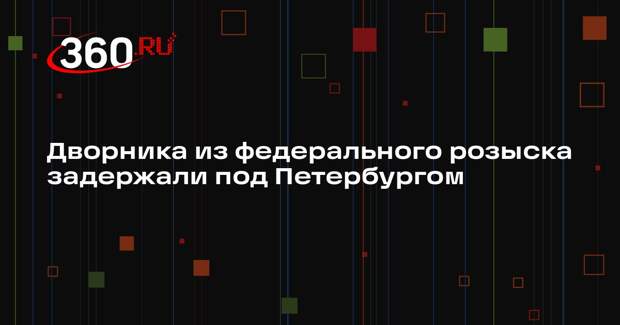 Дворника из федерального розыска задержали под Петербургом