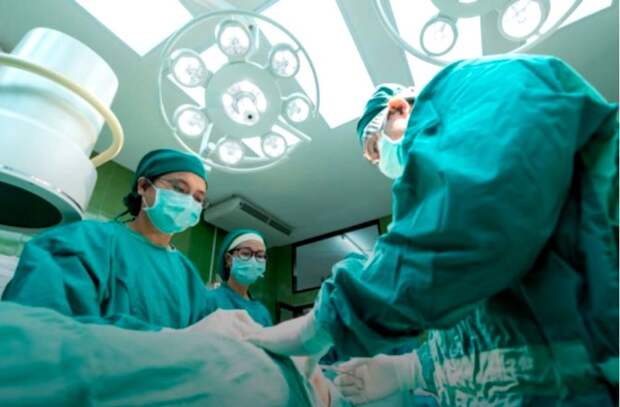 Пересадку органов предугадали задолго до ее практического воплощения. /Фото: volynnews.com