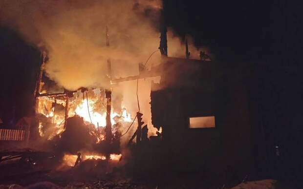 Многодетная семья осталась без крыши над головой в Пронском округе