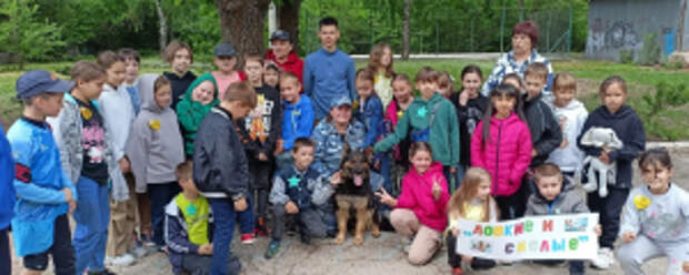 В Самаре полицейские и общественники провели «Уроки мужества» для подрастающего поколения и встречи с действующими сотрудниками