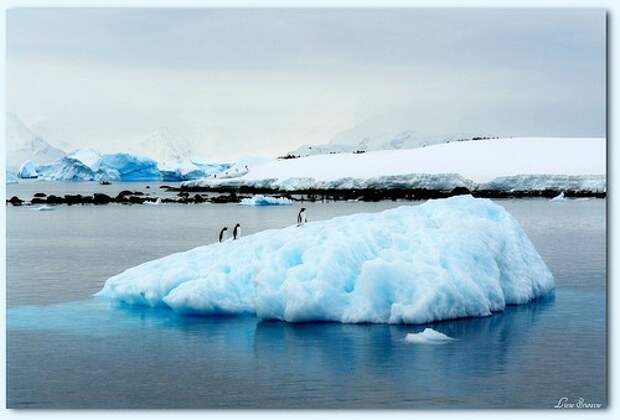 Антарктида. Фото:liene.sturaine / Foter.com / CC BY-NC