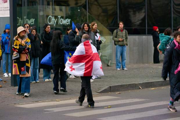 В Госдуме призвали Грузию не идти на поводу у стран-русофобов
