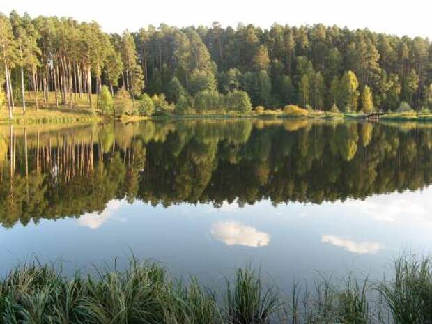 Белое озеро Ульяновская область Николаевский р-он