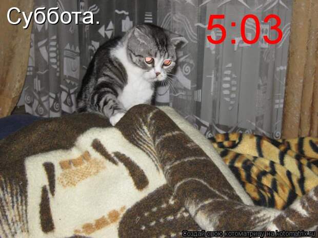 Суббота. 5:03