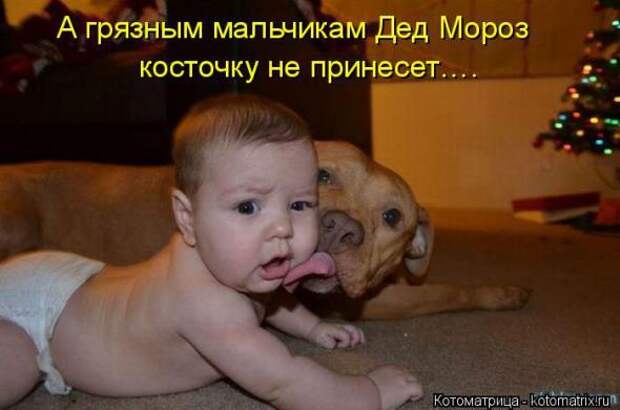 Котоматрицы (картинки с надписями)