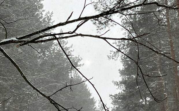 Риск стихийных бедствий из-за морозов в Рязанской области продлили до 7 февраля