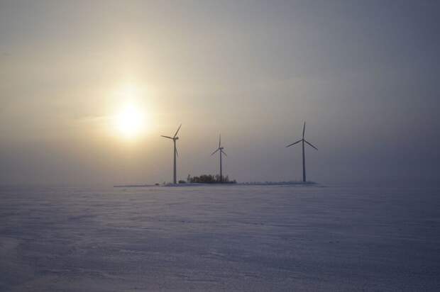 Финская «зеленая мечта» замерзла при −35°C
