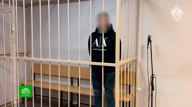 Главу строительной компании из Ленобласти задержали за мошенничество с «Барской усадьбой»