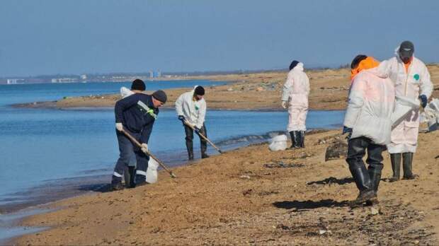 В Анапе снова гибнет птица! Спасатели и добровольцы работают на побережье