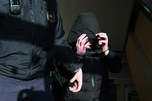 Раскрыты подробности о рассмотрении судом жалоб аферистов по делу Долиной