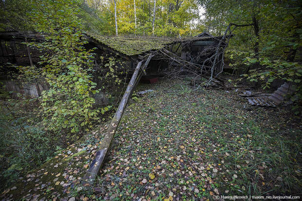 Фотография: Атомная тайна СССР: что стало с базой хранения ядерного оружия 