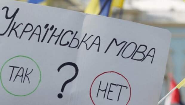 Двойные стандарты Европы: почему не все инициативы Украины нравятся Западу?