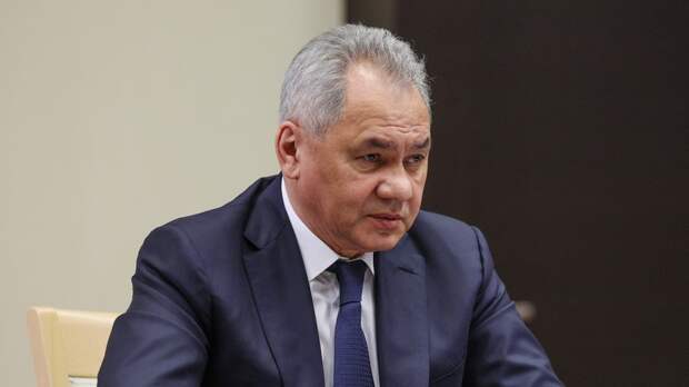 Песков прокомментировал назначение Шойгу на пост секретаря Совбеза России
