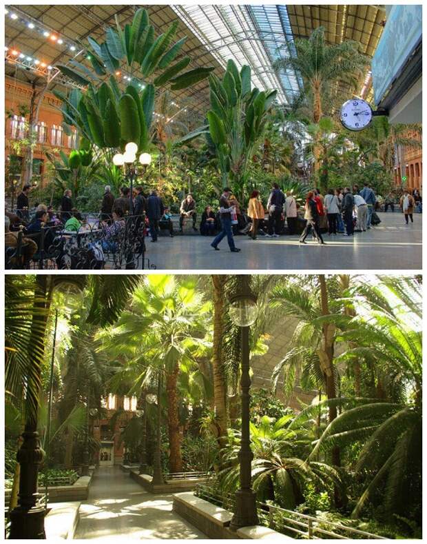 Самая экзотическая и зеленая станция метрополитена Estaci&#243;n de Atocha находится в Мадриде (Испания).