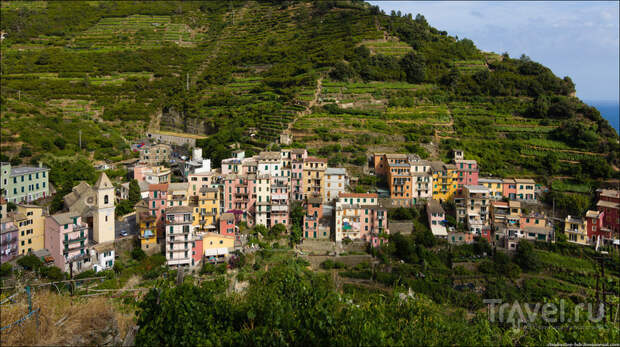 Manarola - прогулка по городу / Фото из Италии